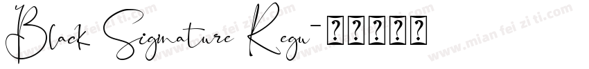 Black Signature Regu字体转换